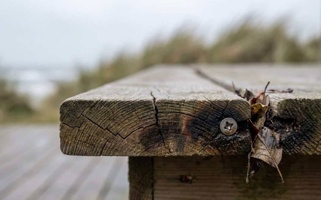 Komposit vs. trykimprægneret træ: Hvilken terrasse holder længst?